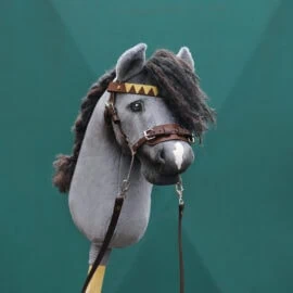 Hobby Horse Hackamore on dark grey horse