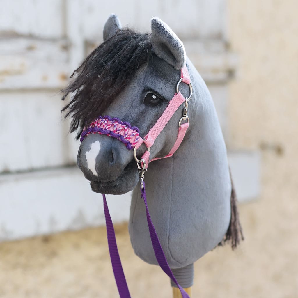 Hobby Horse head collar and reins made with our DIY kit in purple/pink