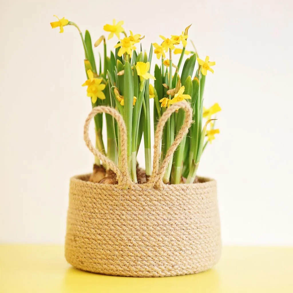 Handmade Easter basket ideas: bunny rope bowl
