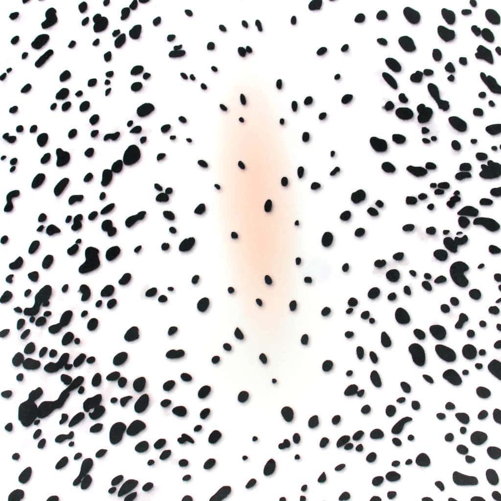 White with black spots fabric for sewing an Appaloosa or Knabstrupper Hobby Horse, or Dalmatian fabric - SuperSoft SHORTY