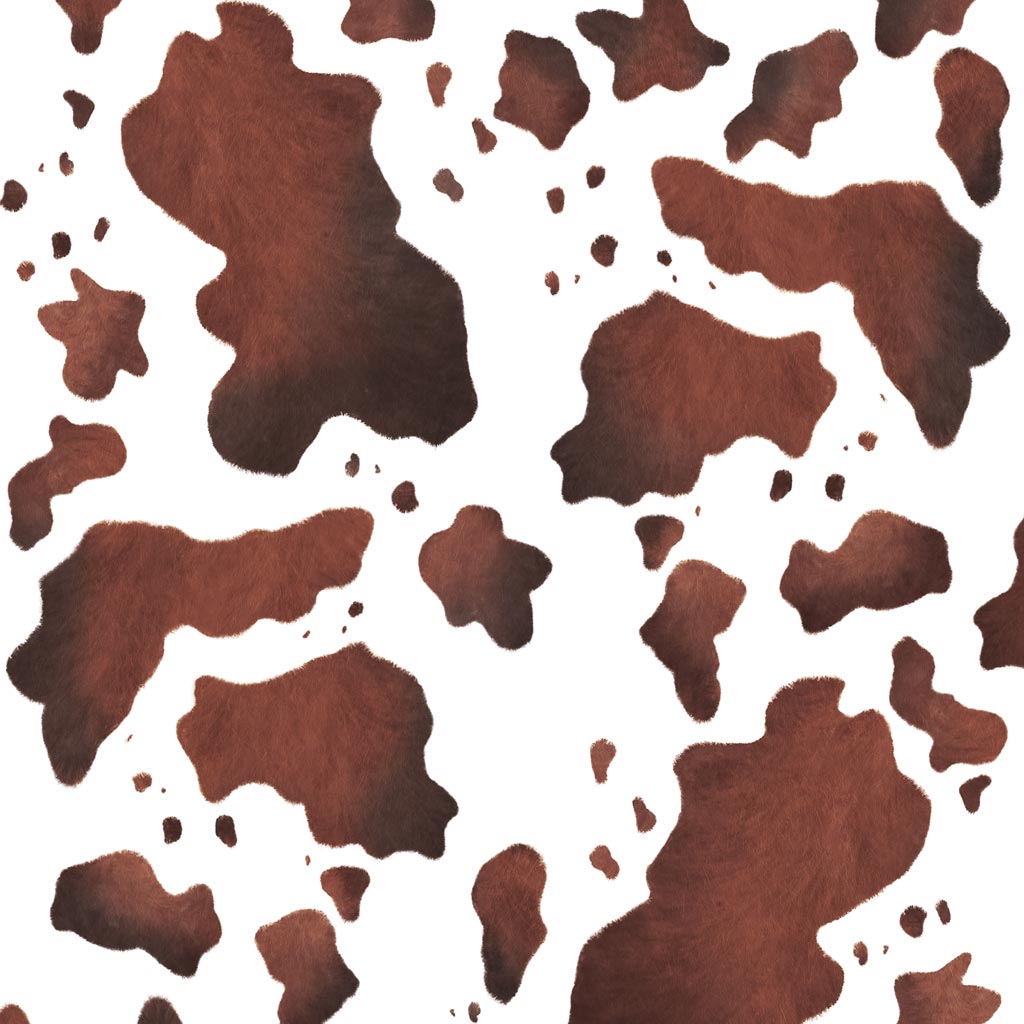 Cuddly dark brown and white cow print fabric, Hobby Horse Pinto minky fabric - SuperSoft SHORTY