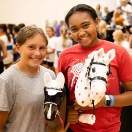 Hobby horsing competition US