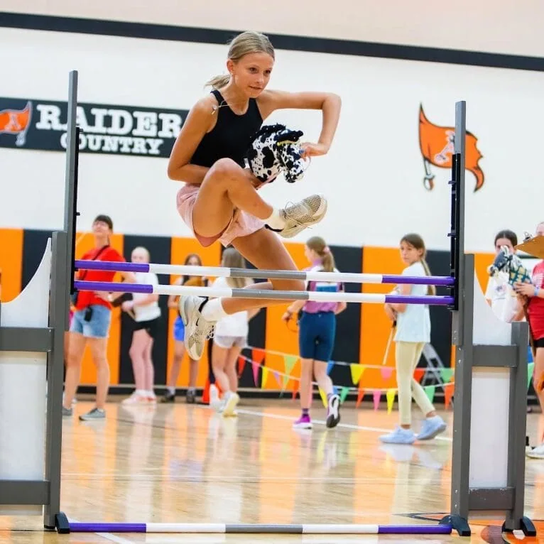 USA hobby horsing competition