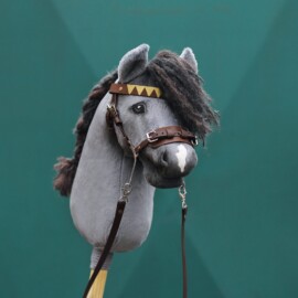 Hobby Horse Hackamore on dark grey horse